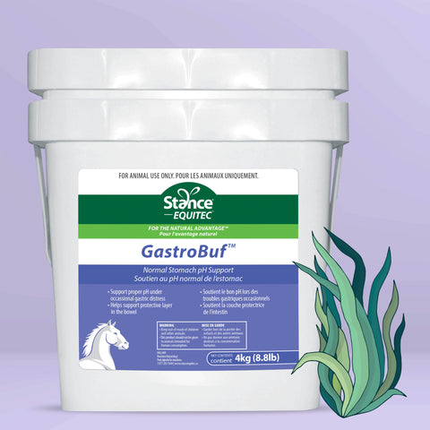 GastroBuf