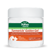 Turmericle® Golden Gel