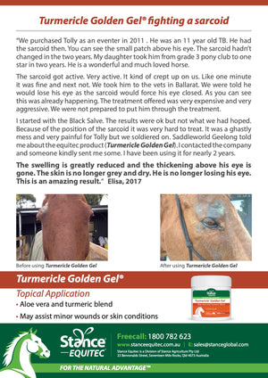 Turmericle® Golden Gel