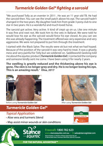Turmericle® Golden Gel