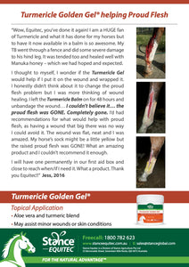 Turmericle® Golden Gel