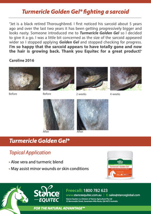Turmericle® Golden Gel