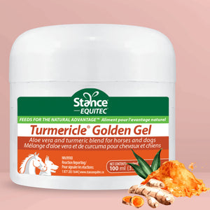 Turmericle® Golden Gel