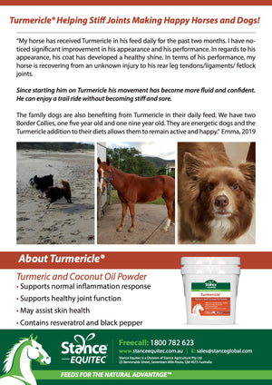 Turmericle®