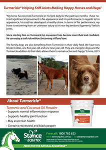 Turmericle®