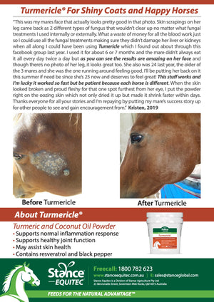 Turmericle®