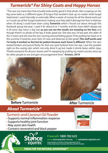 Turmericle®