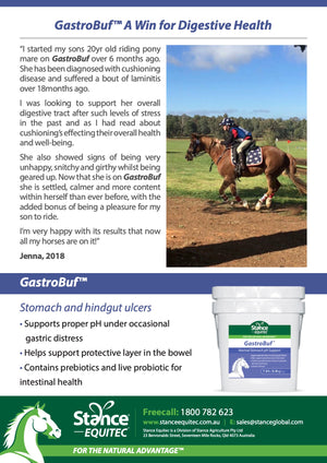 GastroBuf