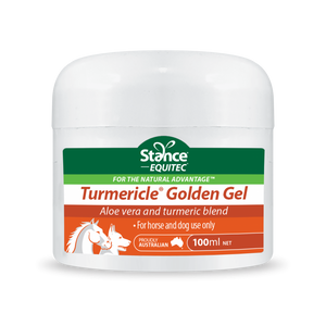 Turmericle® Golden Gel