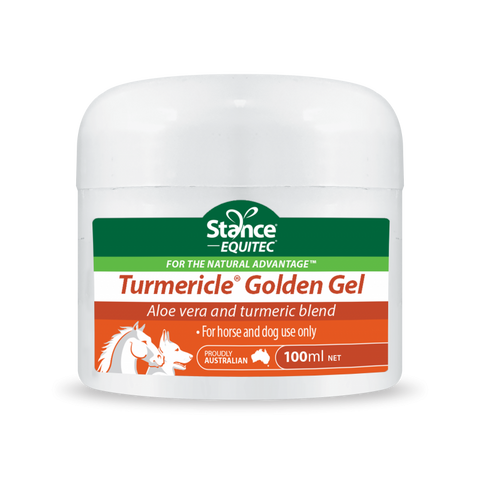 Turmericle® Golden Gel